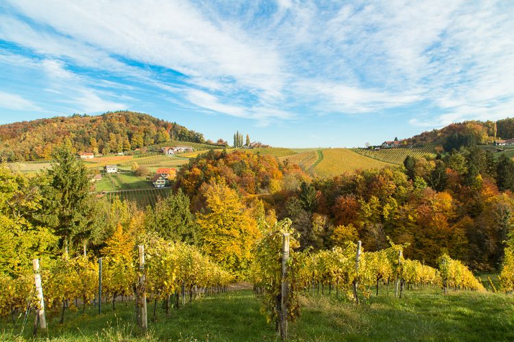 Südsteiermark Herbstfoto