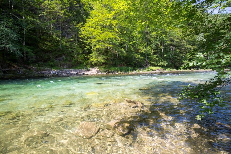 Smaragdgrüner Fluss in den Wildalpen