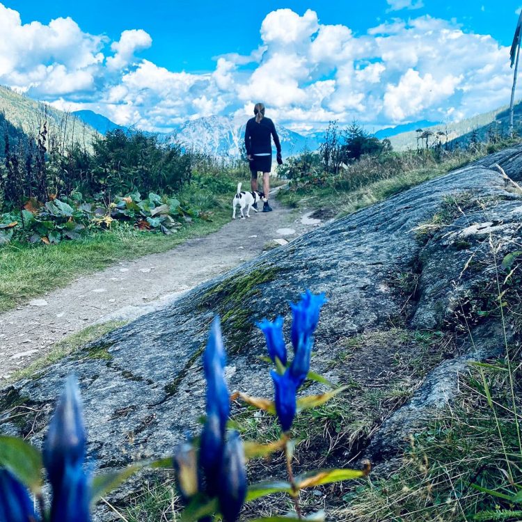 Hunde Wanderung am steirischen Bodensee