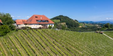 Buschenschank Südsteiermark Weinhang