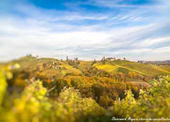 Südsteiermark Landschaft Herbst