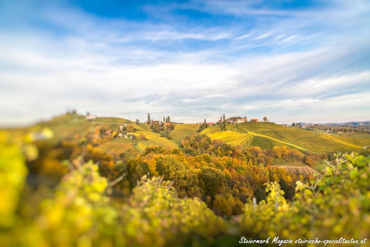 Südsteiermark Landschaft Herbst