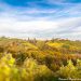 Südsteiermark Landschaft Herbst