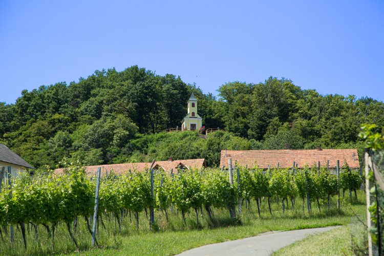 Wandern im Vulkanland