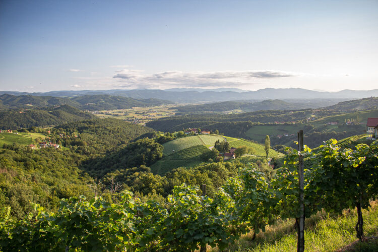 Steiermark Card Ausflüge